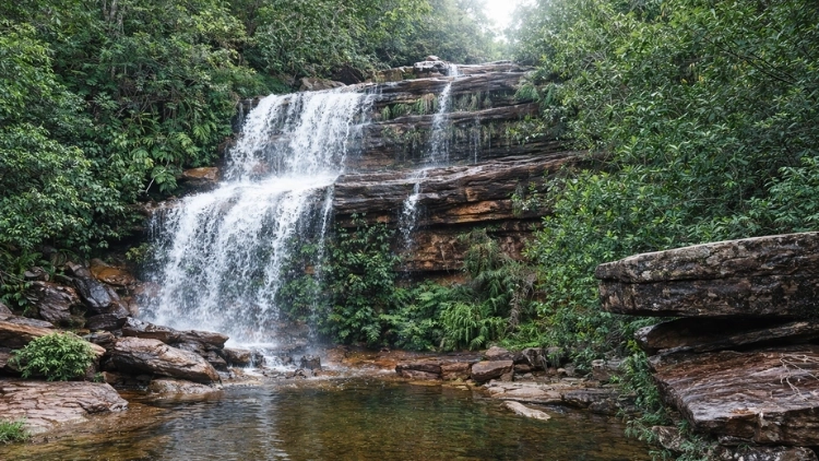 Encantos de Len&ccedil;&oacute;is